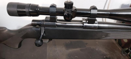 Buenas.
Calibre 300 win mag
Culata nueva
Cañon 63cm
Cambiaria este rifle, solo rifle con bases por un 21