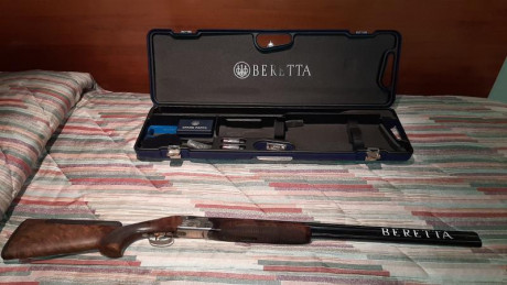 VENDIDA, SE PUEDE CERRAR, GRACIAS


Vendo escopeta de tiro al plato Beretta 682 Gold E Trap con culata 02