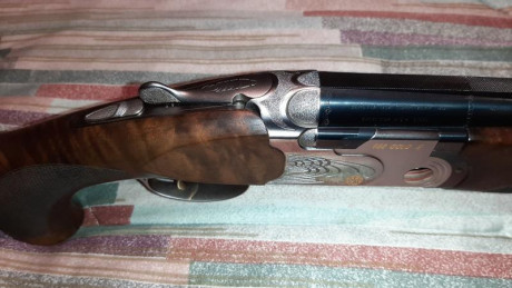 VENDIDA, SE PUEDE CERRAR, GRACIAS


Vendo escopeta de tiro al plato Beretta 682 Gold E Trap con culata 01
