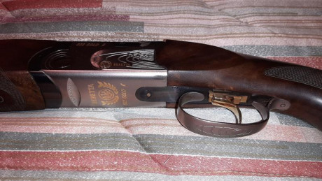 VENDIDA, SE PUEDE CERRAR, GRACIAS


Vendo escopeta de tiro al plato Beretta 682 Gold E Trap con culata 00
