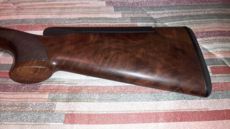 VENDIDA, SE PUEDE CERRAR, GRACIAS


Vendo escopeta de tiro al plato Beretta 682 Gold E Trap con culata 21