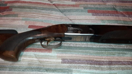 VENDIDA, SE PUEDE CERRAR, GRACIAS


Vendo escopeta de tiro al plato Beretta 682 Gold E Trap con culata 20