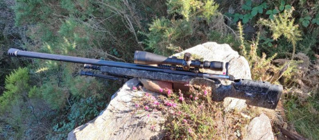 Hola a todos/as.
Vendo mi rifle Sabatti de calibre 6.5 Creedmoor. 
Cañón de 28" de largo, bull barrel 00