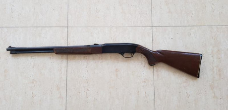 En venta carabina marca Winchester modelo 290 semiautomática calibre 22 lr cargador de varrilla.
Precio 01
