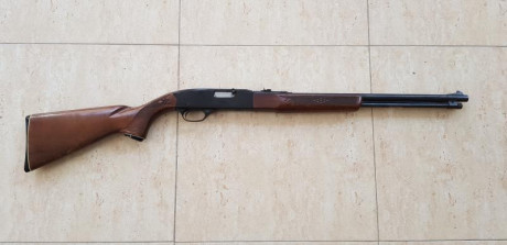 En venta carabina marca Winchester modelo 290 semiautomática calibre 22 lr cargador de varrilla.
Precio 00