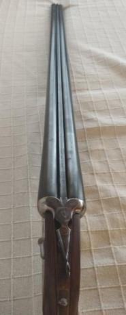 Marca AYA
Calibre 12
Cañón de 71 cm
2 gatillos
Expulsora
Platina desmontable
Primer gatillo articulado
Culata 00