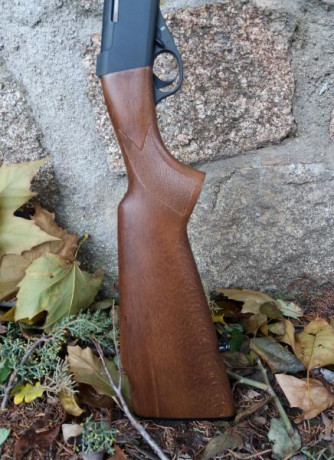 Vendo Carabina Anschütz cal 22 Long Rifle casi sin usar, prácticamente nueva.
Precio:  425€ negociable 12