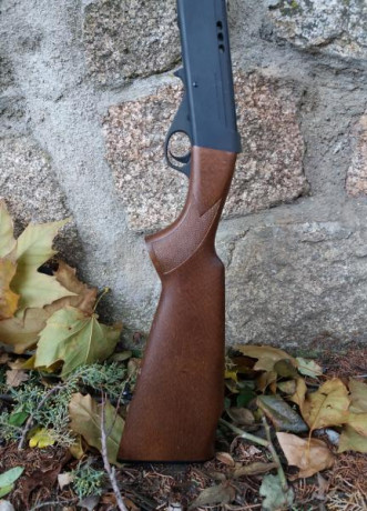 Vendo Carabina Anschütz cal 22 Long Rifle casi sin usar, prácticamente nueva.
Precio:  425€ negociable 11