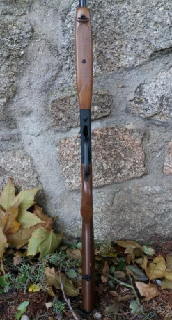 Vendo Carabina Anschütz cal 22 Long Rifle casi sin usar, prácticamente nueva.
Precio:  425€ negociable 10