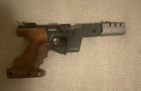pistola WALTHER GSP EXPERT .
Vendida 01