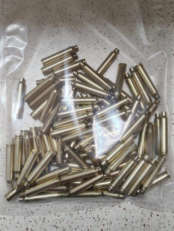 Vendo o cambio, 85 vainas del 300 WIN. MAGNUM, limpias y con piston original, se envian envasadas al vacio, 00