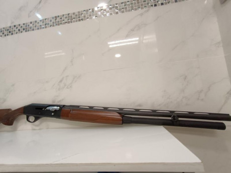 Stoeger 3000 poko uso ocasionalmente en tiro 
Sin marcas ni oxidos muy bien conservada de Pavón y maderas,sistema 10