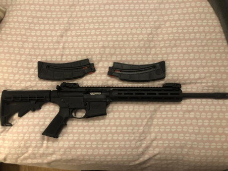 Vendo carabina semiautomática SMITH&WESSON M&P 15-22 SPORT nueva a estrenar, comprada en mayo, 01