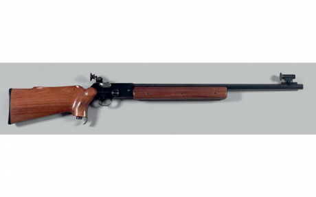 Vendo carabina BSA modelo International MK III calibre.22. Incluye dioptero, tunel y anillas originales.
En 00