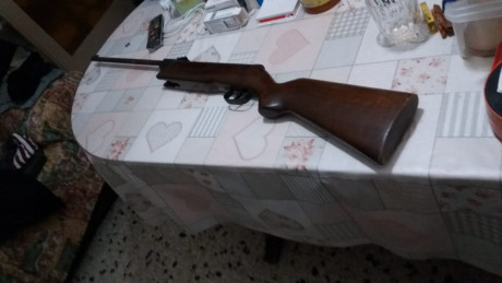 - Vendo carabina Norica 61, calibre 5,5mm. Es 100% funcional, está oxidada pero para un manitas tiene 02
