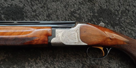 Oportunidad. Modelo 800 SW.
•	Calibre 12/70 expulsora
•	Selector de disparo
•	Cañón 76. Anima 18,4
•	Banda 12