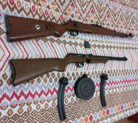   *******Pietta retirada de la venta y Norinco vendida*******  
Vendo dos carabinas del cal. 22LR, una 11
