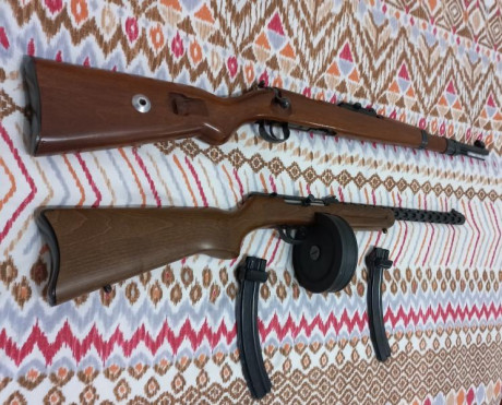   *******Pietta retirada de la venta y Norinco vendida*******  
Vendo dos carabinas del cal. 22LR, una 21