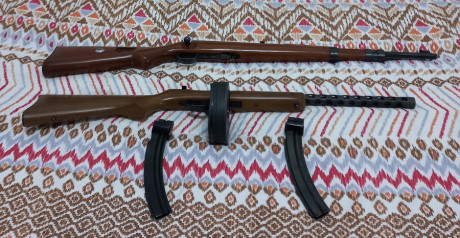   *******Pietta retirada de la venta y Norinco vendida*******  
Vendo dos carabinas del cal. 22LR, una 20
