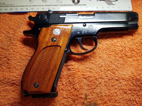 HOLA, CAMBIO SMITH HAN WESSON 9 MM. Y DOS CARGADORES DE REPUESTO POR PISTOLA MISMO CALIBRE HK P9S.

SDOS. 00