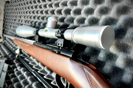 Vendo esta 1710 con Cañón Heavy Barrel en inox, vendo por que no la he usado desde que la compré. Se la 11