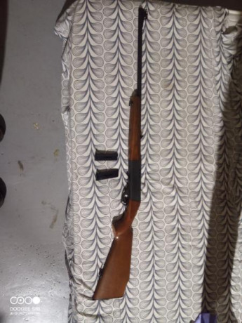 Se vende carabina anschutz semiautomática modelo 520 sin apenas uso.

Precio con funda y un cargador 190 00