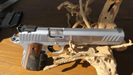 Vendo mi pistola STI TROJAN 6" INOX en perfectas condiciones va de lujo con su maletin original sus 12