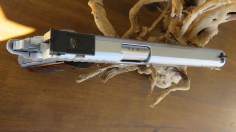 Vendo mi pistola STI TROJAN 6" INOX en perfectas condiciones va de lujo con su maletin original sus 10