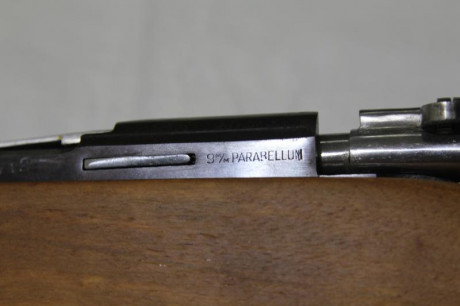 Vendo destroyer 9 mm parabellum, impecable. Nunca he disparado con ella.
Precio 400 euros.
Teléfono 667837799 12