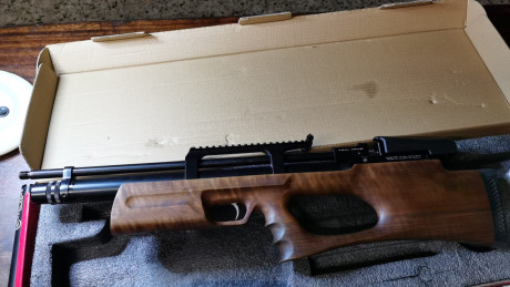 Vendo Kral puncher breaker en 5.5.
Muy cuidada, en madera de nogal turco,
con cargador multitiro, palanca 11