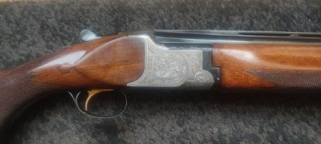 Oportunidad. Modelo 800 SW.
•	Calibre 12/70 expulsora
•	Selector de disparo
•	Cañón 76. Anima 18,4
•	Banda 80