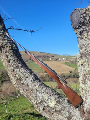 Manlicher classic 7mmRm en un estado muy bueno, con monturas apell de 30 o 26 a elegir, cañon 65cm, gatillo 12