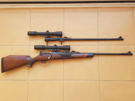 Vendo Mauser 66 cal 6,5x68 mas un kit completo del 8x68S con bases/monturas Shuler con 2 visores que van 01