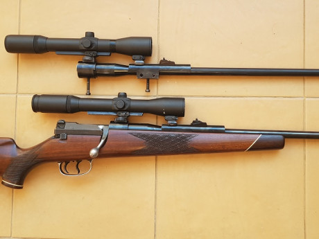 Vendo Mauser 66 cal 6,5x68 mas un kit completo del 8x68S con bases/monturas Shuler con 2 visores que van 00