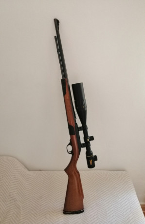 vendo caravina calibre22 semiatomatica por no usarla apenas e tirado con ella ace una agrupacion de maravilla 00