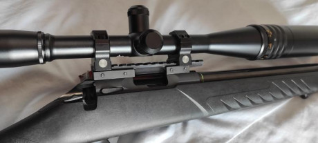 Rifle Sako Quad Heavy Barrel calibre .22lr. 750 €.

Visor Weaver T36 sin anillas, 450 €.  VENDIDO 

Carril 00