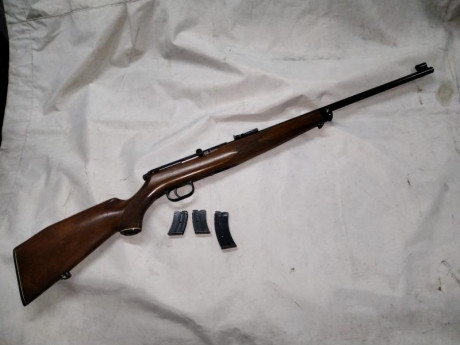 Hola, pongo a la venta una carabina Krico semiautomatica del calibre 22 LR 
la carabina es de un buen 00