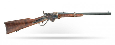 Compro rifle Spencer no importa rifle o carabina no importa calibre.

Saludos 00