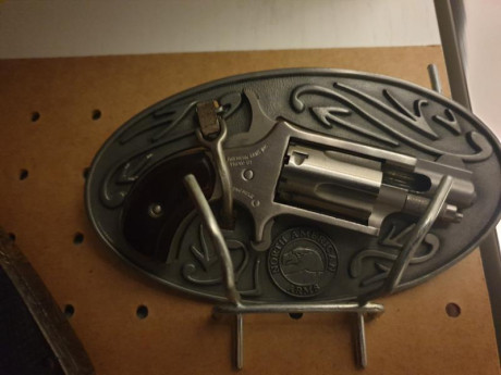 Se vende pistola de nothamerican pistols, del calibre 22 lr de inox, que va puesta en la hebilla de un 00