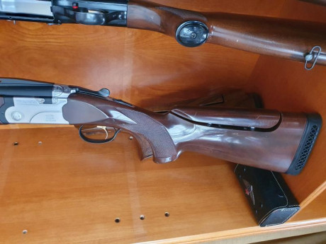 Hola a todos !! Tengo una Escopeta Breda Special Tiro/Trap que, como sabreis Breda y Beretta practicamente 02