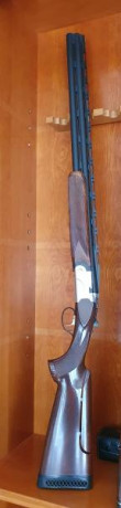 Vendo una Breda que como sabréis es la madre de Beretta, es la Especial Trap con cañón de 75cm, una y 02