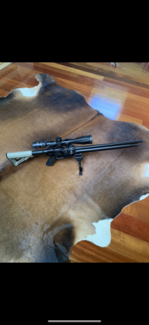 Vendo mi carabina FX Dreamline calibre 5,5(22). Está completamente nueva y funcionando a la perfección. 01