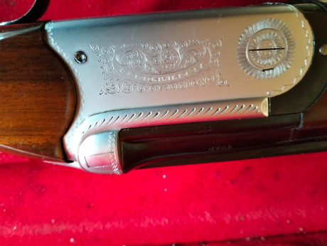 pues eso , que vendo esta benardelli orione de trap a un precio casi simbolico 
el arma esta y se puede 00