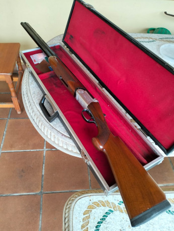 pues eso , que vendo esta benardelli orione de trap a un precio casi simbolico 
el arma esta y se puede 12