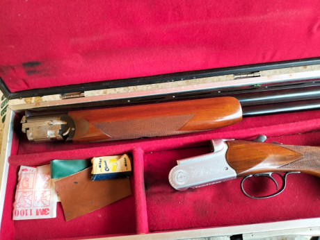 pues eso , que vendo esta benardelli orione de trap a un precio casi simbolico 
el arma esta y se puede 11