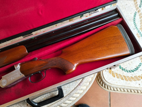 pues eso , que vendo esta benardelli orione de trap a un precio casi simbolico 
el arma esta y se puede 20