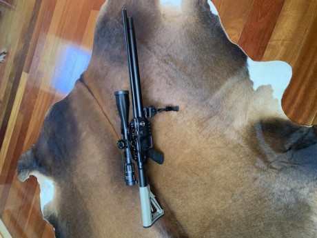 Vendo mi carabina FX Dreamline calibre 5,5(22). Está completamente nueva y funcionando a la perfección. 00