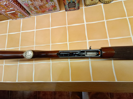 Vendo escopeta Remington 105 cti en muy buen estado a falta de la cantonera que al ser de gel y desconozco 00