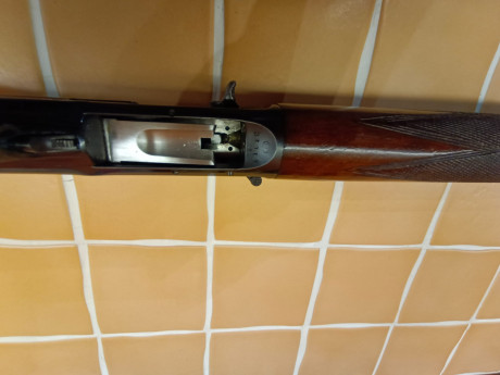 Vendo escopeta auto 5 en calibre 16 en muy buen estado de conservación funcionando a la perfección. 350 01