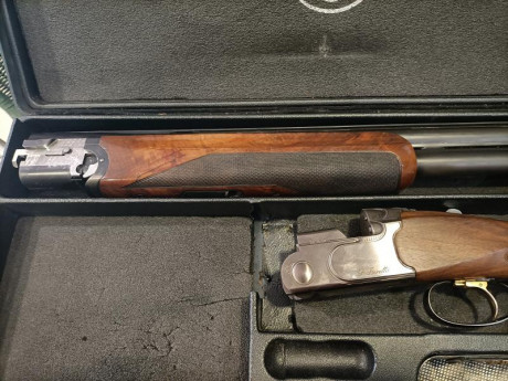 Se encuentra en perfecto estado tanto estética como funcionalmente. Se cambia por rifle de mi interés,en 11